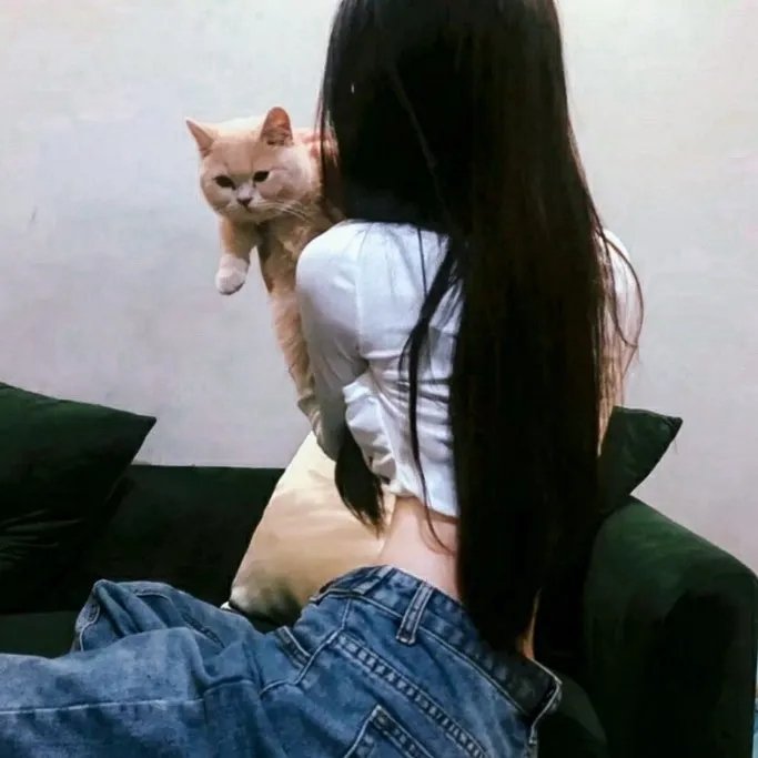 美人老矣·动态漫